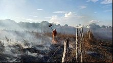 Alagoas registra queda de 7% nas ocorrências de incêndios em vegetação | Corpo de Bombeiros