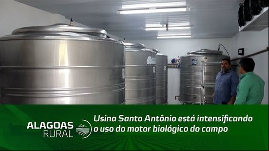 Usina Santo Antônio está intensificando o uso do motor biológico do campo